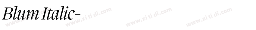 Blum Italic字体转换